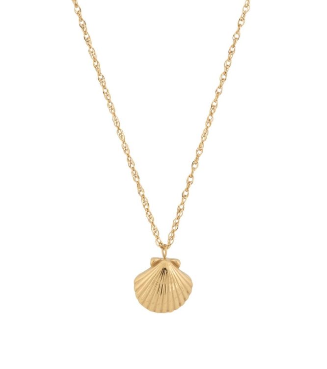 ΚΟΛΙΕ BEACHCOMBER SHELL GOLD EDBLAD ΑΞΕΣΟΥΑΡ 3