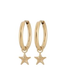 ΚΟΛΙΕ BEACHCOMBER STARFISH GOLD EDBLAD ΑΞΕΣΟΥΑΡ 2