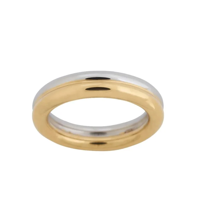 AKIN RING GOLD STEEL EDBLAD ACCESSORY 13