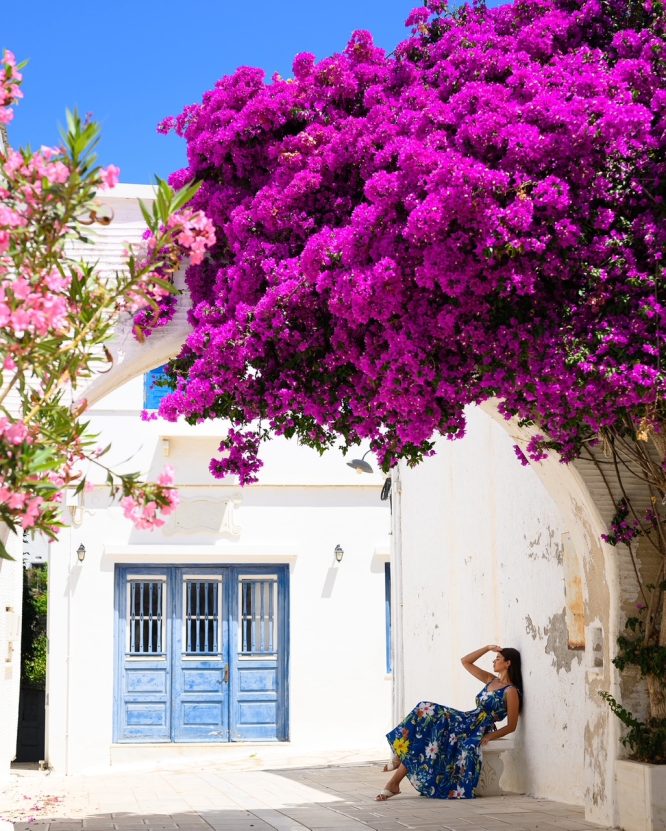 ELSA ΦΟΡΕΜΑ (BLUE FLOWERS) MAMOUSH ΠΡΟΣΦΟΡΕΣ 6