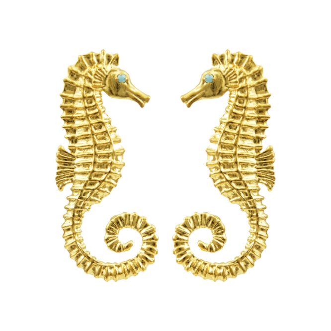 SEAHORSE ΣΚΟΥΛΑΡΙΚΙΑ DESPERATE DESIGN ΝΕΕΣ ΑΦΙΞΕΙΣ 4